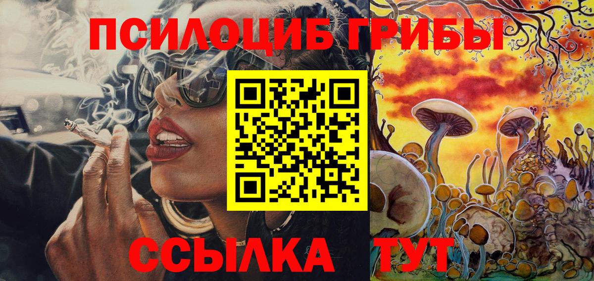 Псилоцибиновые грибы MAGIC MUSHROOMS  Вход с VPN  Ишим 